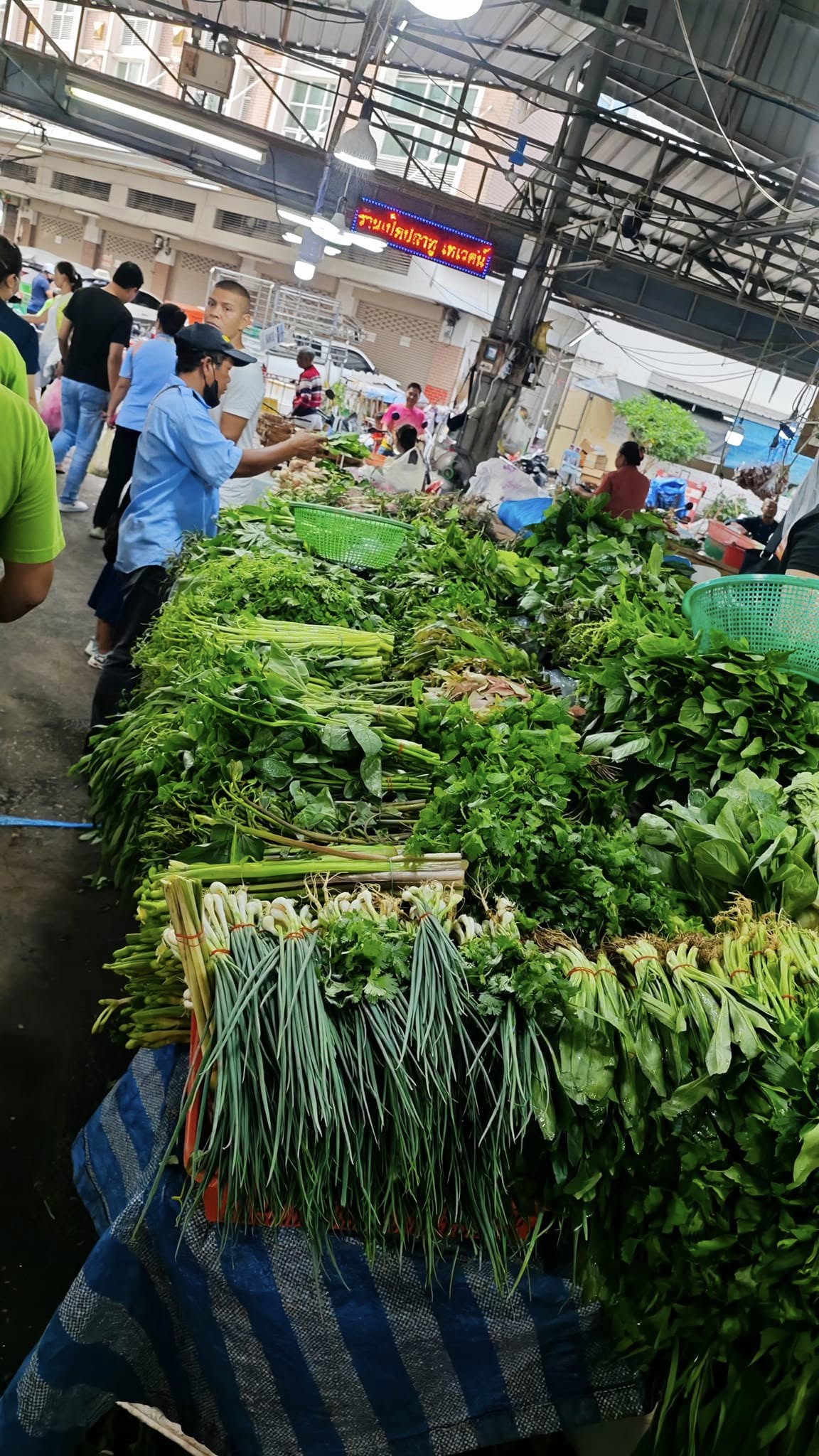 Image 906