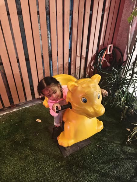 Image 34